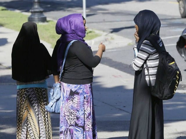 Members of the Somali community visit near a park in Minneapolis. File