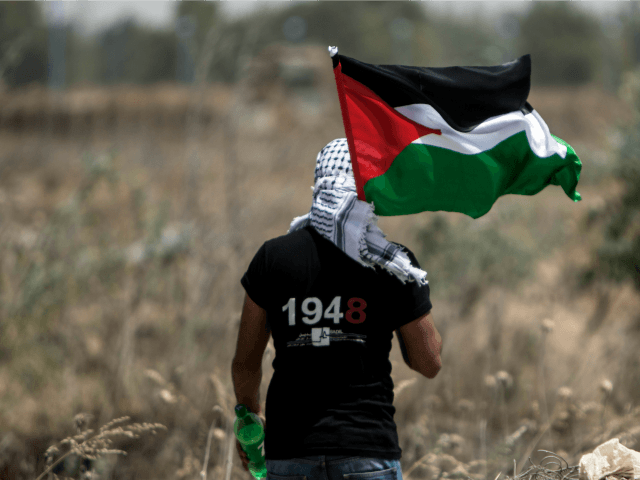 A Palestinian youth waves the national flag as Israeli military digs in search of smuggling tunnels at the border east of Gaza city on May 15, 2016, on the 68th anniversary of the 'Nakba'.