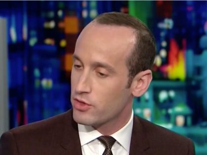 stephen miller