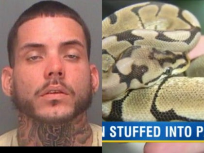 Police Arrest Man Who Allegedly Put a Python in His Pants at a Pet Store