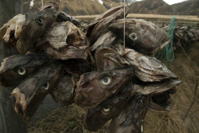 An agreement brokered by environmental group Greenpeace marks the first time the seafood i