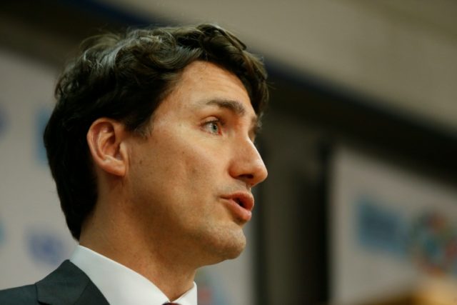 Prime Minister Justin Trudeau accidently struck MP Ruth Ellen Brosseau of the New Democrat