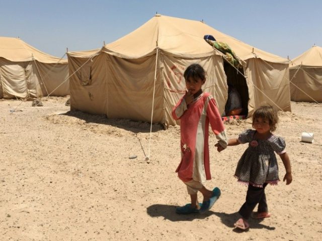 Displaced Iraqi children from Fallujah stand outside a tent at a newly-opened camp in the