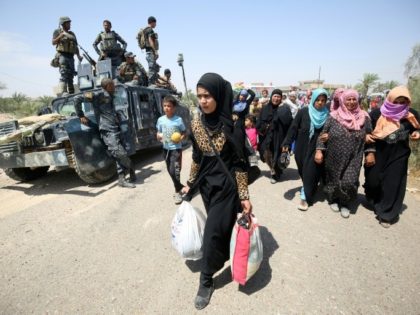Despite plans before the operation for safe corridors, few civilians have managed to flee the Fallujah battle in recent days