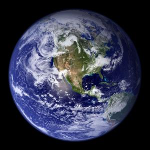 Study: Earth may host 1 trillion species