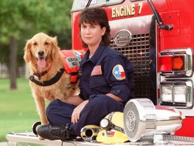 9/11 Rescue Dog