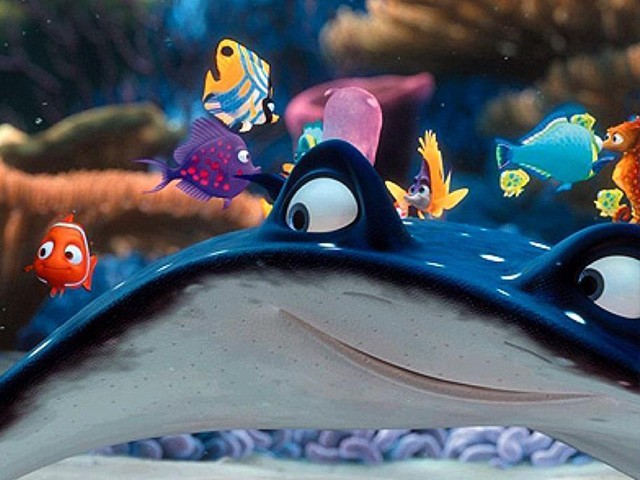 Ellen DeGeneres: Transgender Stingray in Disney's 'Finding Dory'