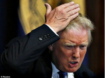 Trump Pulls Back Hair Reuters