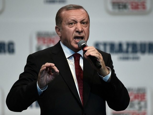 Turkish President Recep Tayyip Erdogan speaks during a political rally in Strasbourg, east