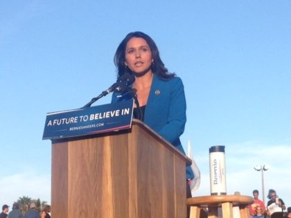 Tulsi Gabbard for Bernie Sanders (Adelle Nazarian / Breitbart News)