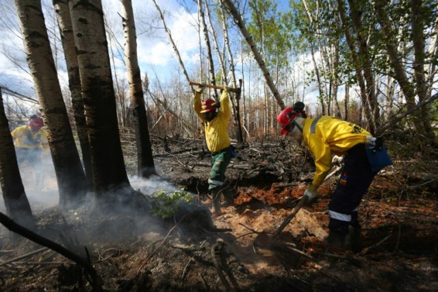 A group of South African firefighters work to uproot a tree as they mop-up hot spots in an