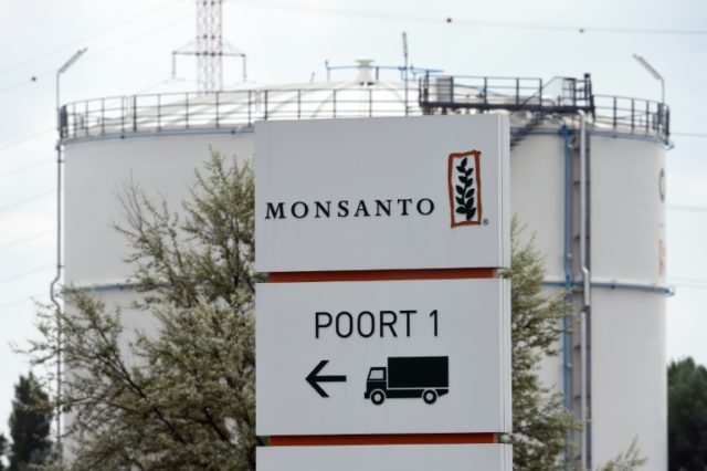 Merger talks between Monsanto and Bayer to create a new world leader in seeds, pesticides