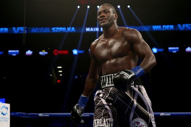 Deontay Wilder, pictured on January 16, 2016, will make his fourth title defense on July 1