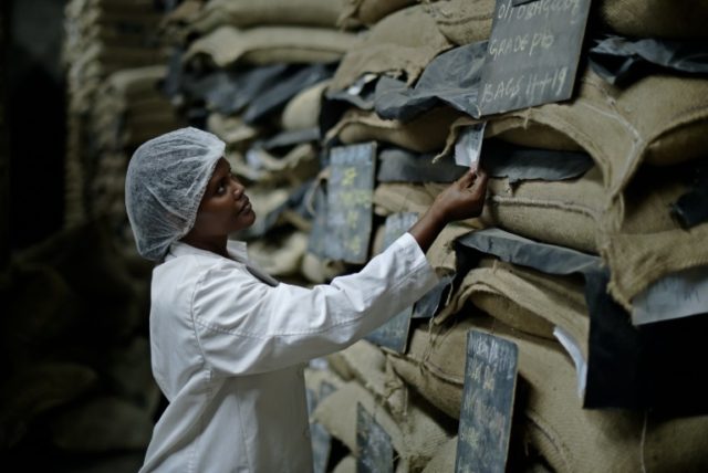 A worker checks sacks of green, unroasted coffee beans at Dormans coffee factory in Nairob