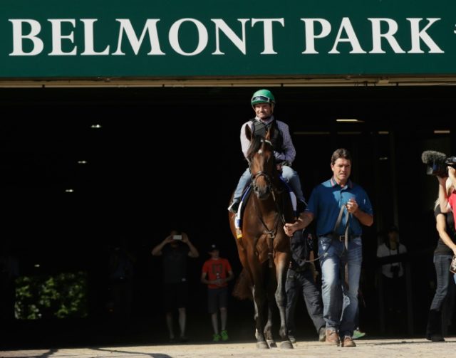 Jockey Kent Desormeaux rides Exaggerator onto the track for a training session ahead of th