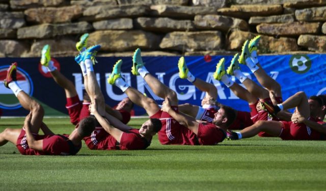 Hungary's players take part in a training session in Tourrettes, southern France, ahead