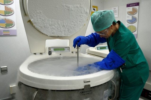 An employee at the clinic Eugin handles samples of embryos, eggs and sperm cryopreserved i