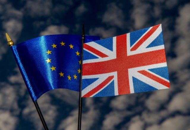 Britain's forthcoming referendum on whether to stay in the European Union has been dominat