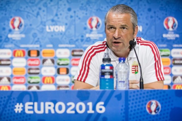 Hungary head coach Bernd Storck attends a press conference in Decines-Charpieu, southern F