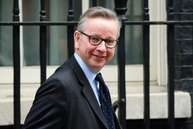 Justice Secretary Michael Gove was one of the key figures in the campaign to leave the Eur