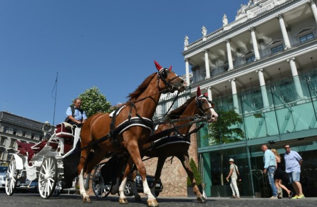 The Austrian capital's carriages, known as "fiakers", are a massive tourist magnet, taking