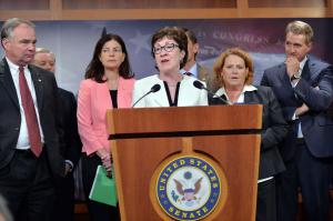 Sen. Susan Collins shoots for gun-control compromise: No fly, no buy