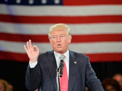 ROANOKE, VA - JULY 25: Republican presidential candidate Donald Trump address an audience