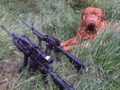 Guns and dog (Corey Gwathney / Facebook)