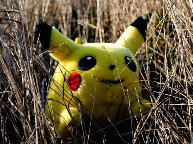 Hidden Pikachu (Sadie Hernandez / Flickr / CC / Cropped)