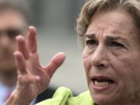 Jan Schakowsky (Leigh Vogel / Getty)