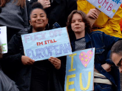 Brexit EU referendum Article 50