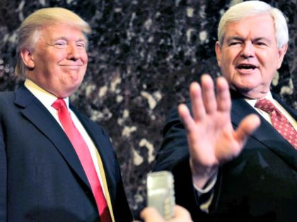 Trump and Gingrich Seth WenigAP