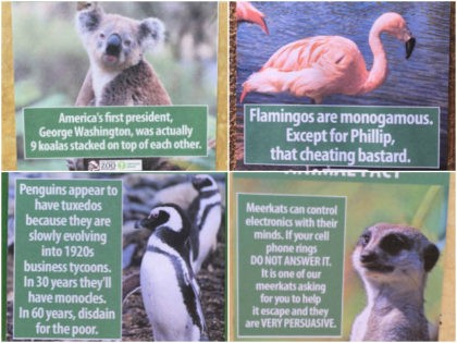 Comedian Leaves Hilarious ‘Animal Facts’ Placards at L.A. Zoo