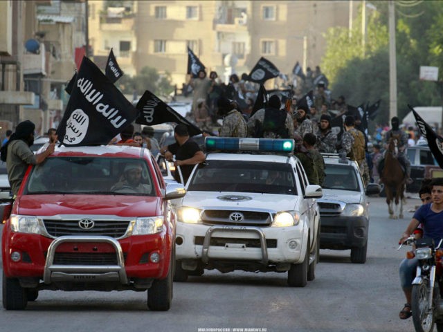Militant Islamist fighters waving flags, travel in vehicles as they take part in a militar