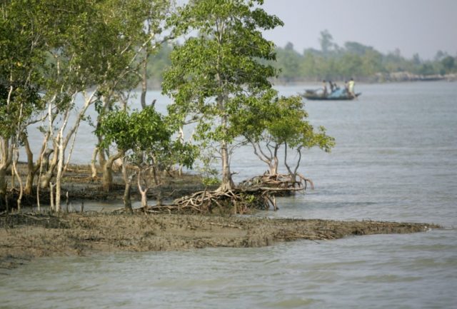 Indian villagers cross a river on a country boat in the Sunderbans, some 125 kms south eas