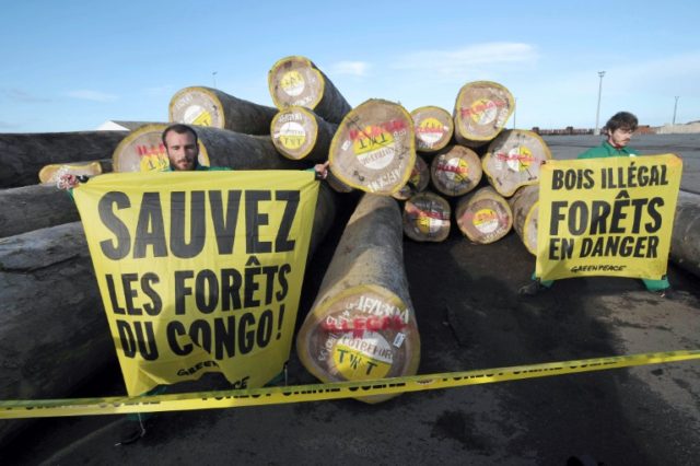 Greenpeace activists demonstrate with banners against the illegal importation of timber co