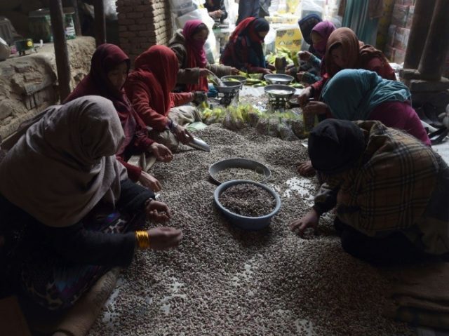 Afghan women sort pistachio seeds at a local dried fruit factory in Kabul