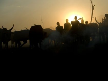 The mainly Muslim Fulani herders and largely Christian farmers have clashed for decades in Nigeria over increasingly scarce land and resources, particularly in the religiously mixed central states
