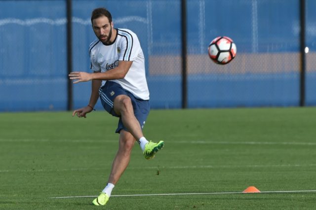 Argentina's national team player Gonzalo Higuain takes part in a training session at Quest