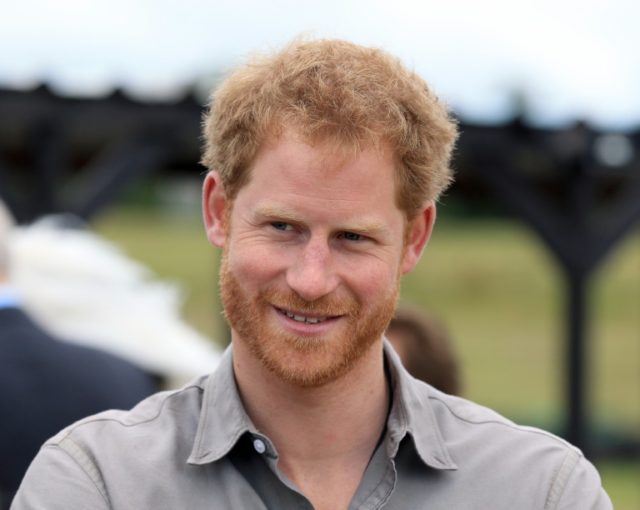 Britain's Prince Harry, pictured on July 5, 2016, has made highlighting the issues surroun