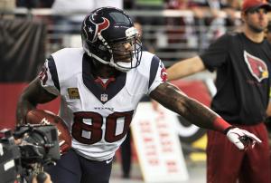 Andre Johnson works out for Tennessee Titans