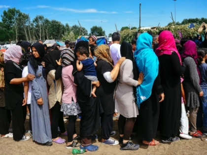 39029842 - 10_07_2016 - SERBIA-MIGRANTS-EUROPE-HUNGARY