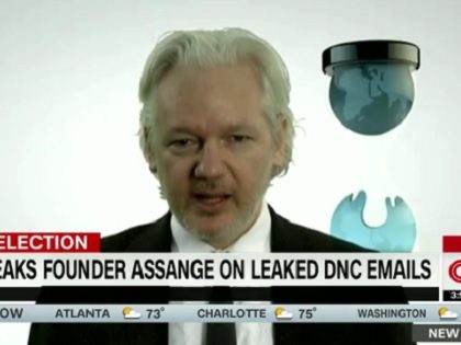 Assange81