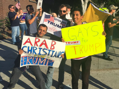 West Hollywood rally for Trump (Mike Cernovich / Breitbart News)