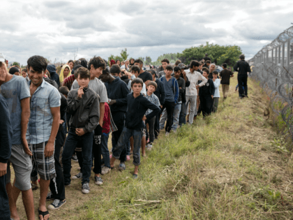 Migrants Hungary Border Fence