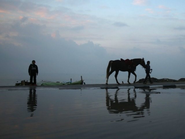 A Palestinian man leads his horse in Gaza City on January 27, 2016. / AFP / MOHAMMED ABED