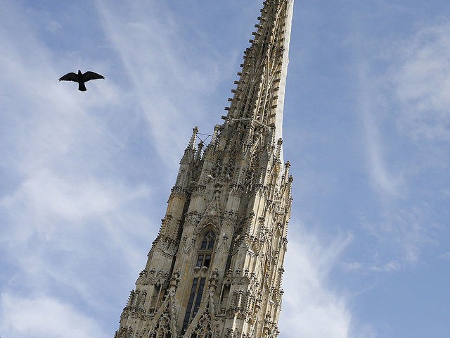 A bird flies near the Stephansdom cathedral (St Stephen's cathedral) in Vienna, Austria on October 4, 2012. AFP PHOTO / ALEXANDER KLEIN (Photo credit should read ALEXANDER KLEIN/AFP/Getty Images)