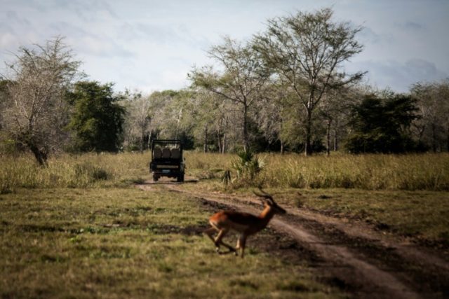 Gorongosa National Park has more than 72,000 animals from 20 different species, mainly ant