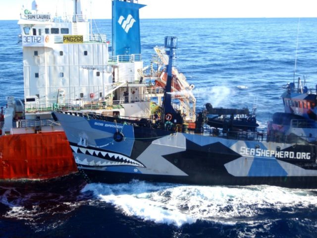 The arch enemies have waged a legal and public relations battle as Sea Shepherd has sought
