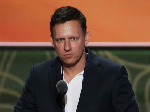 Peter Thiel, a Silicon Valley titan, acknowledged he helped fund litigation against Gawker, with whom he has feuded for years since it "outed" him as a homosexual